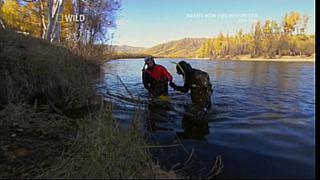 River Monsters 04