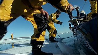 arctic 02