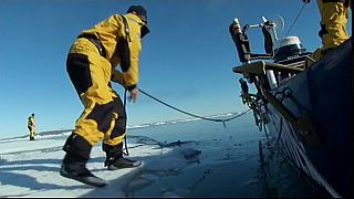 arctic 03