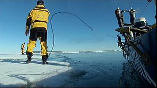 arctic 04