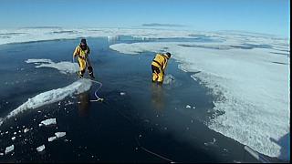 arctic 05