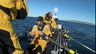 arctic 10