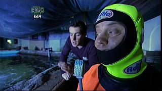 dick and dom 10