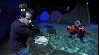 dick and dom 19