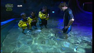 dick and dom 60