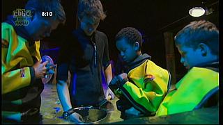 dick and dom 64