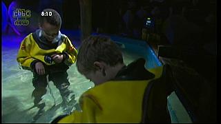 dick and dom 66