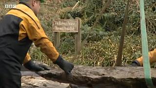 drysuit 50