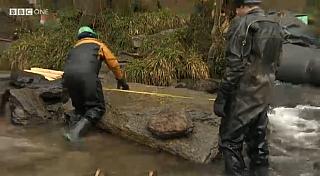 drysuit 55