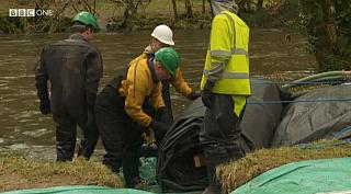drysuit 60