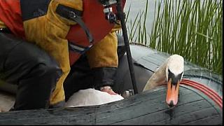 drysuit 71