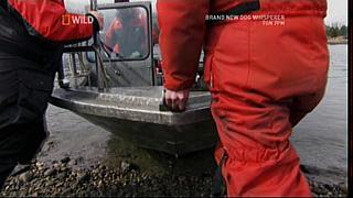 River Monsters 13