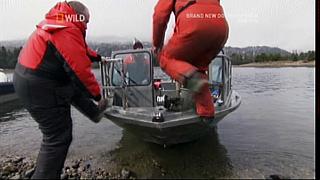 River Monsters 15