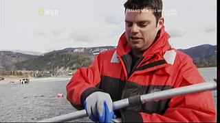 River Monsters 20