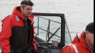 River Monsters 21