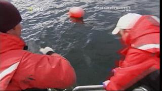 River Monsters 22