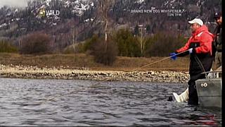 River Monsters 25