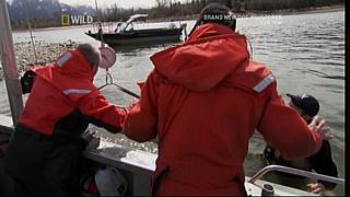 River Monsters 28