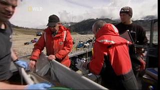 River Monsters 29