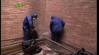 GRIME 097