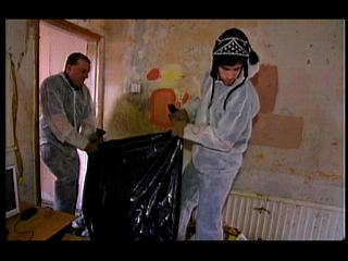 GRIME 221