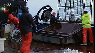 deadliest catch 20