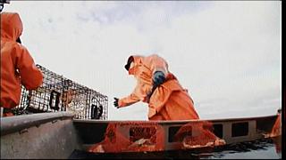 lobster 04