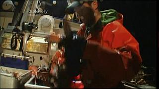 lobster 117