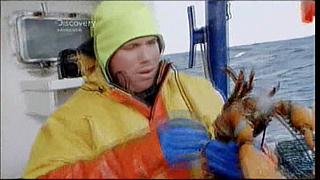 lobster 132