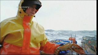 lobster 144