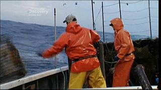 lobster 190