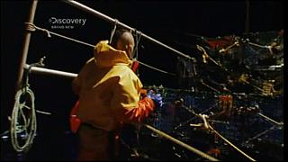 lobster 193