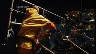 lobster 196