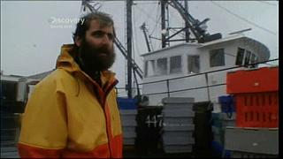 lobster 200