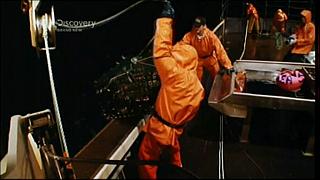 lobster 206
