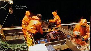 lobster 214