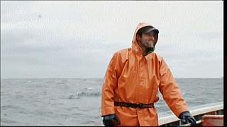 lobster 236