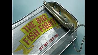 FISH 01