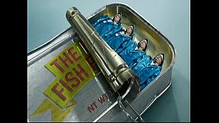 FISH 02