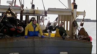 fish fight 12