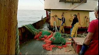fish fight 54
