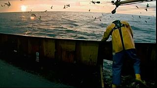 fish fight 74