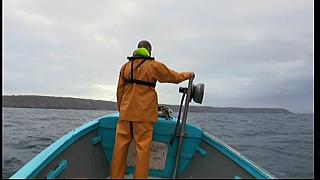 fisherman 039