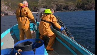 fisherman 049