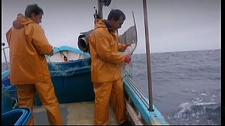 fisherman 105