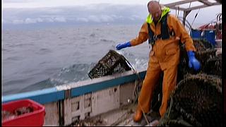 fisherman 119
