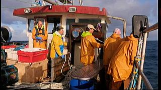 fisherman 121