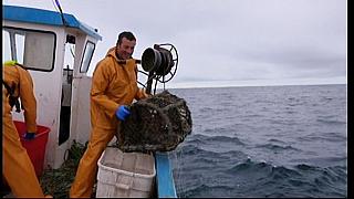 fisherman 125