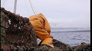 fisherman 135