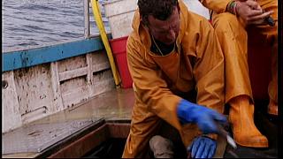 fisherman 142